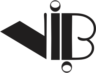logo black vandi